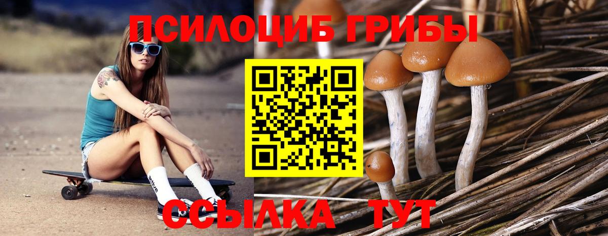 Галлюциногенные грибы MAGIC MUSHROOMS Туапсе